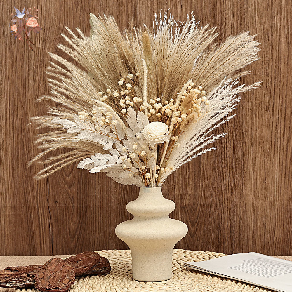 Dried Pampas Bundle - 40 قطعة من قصب بامباس المجففة