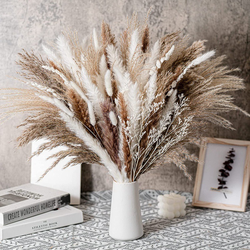 Dried Pampas Bundle - 50-105 قطعة من باقة الزهور المجففة