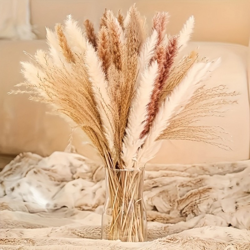 Dried Pampas Bundle - 110 قطعة من باقات الزهور المجففة