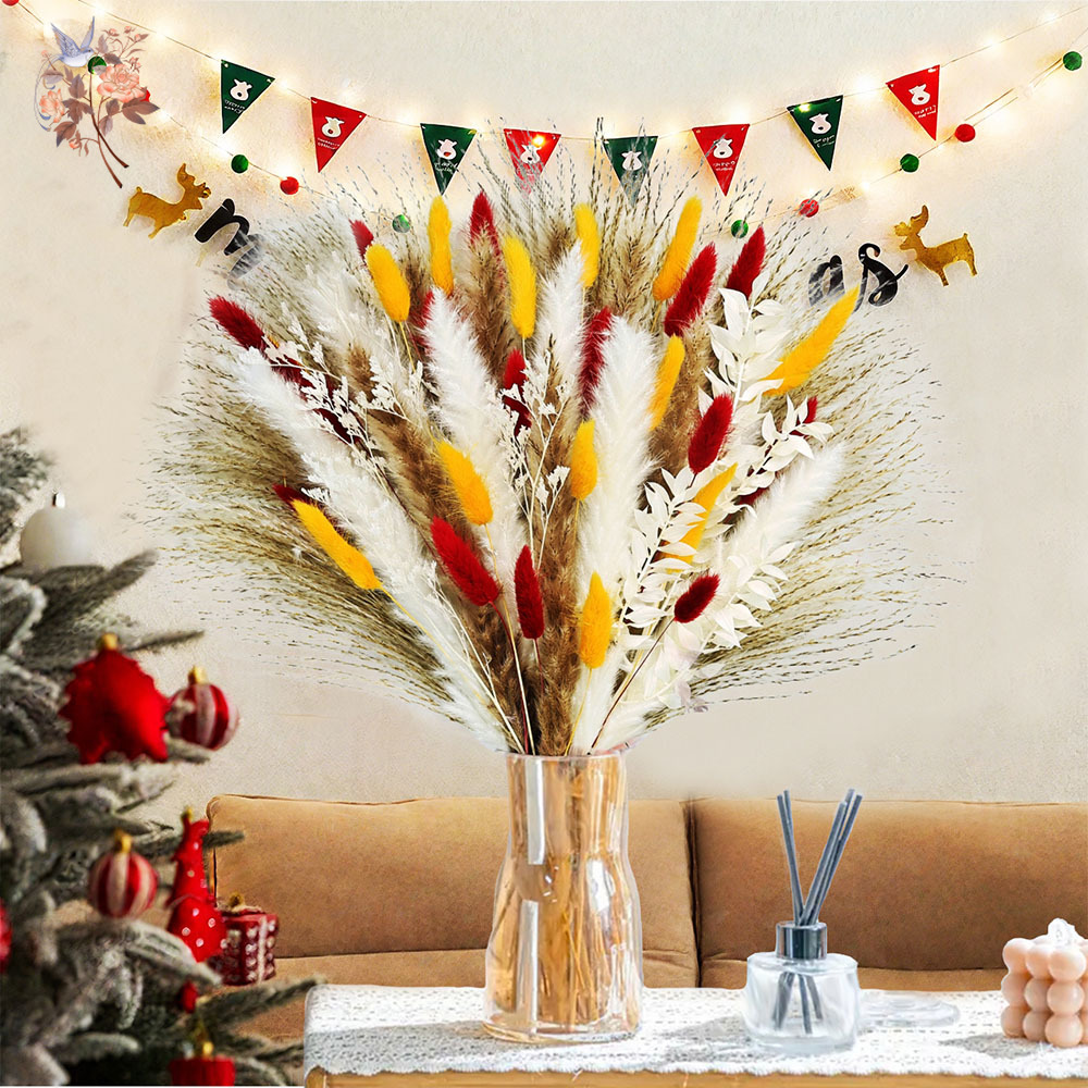 Dried Pampas Bundle - 70 ينبع الطبيعية رقيق بامباس العشب