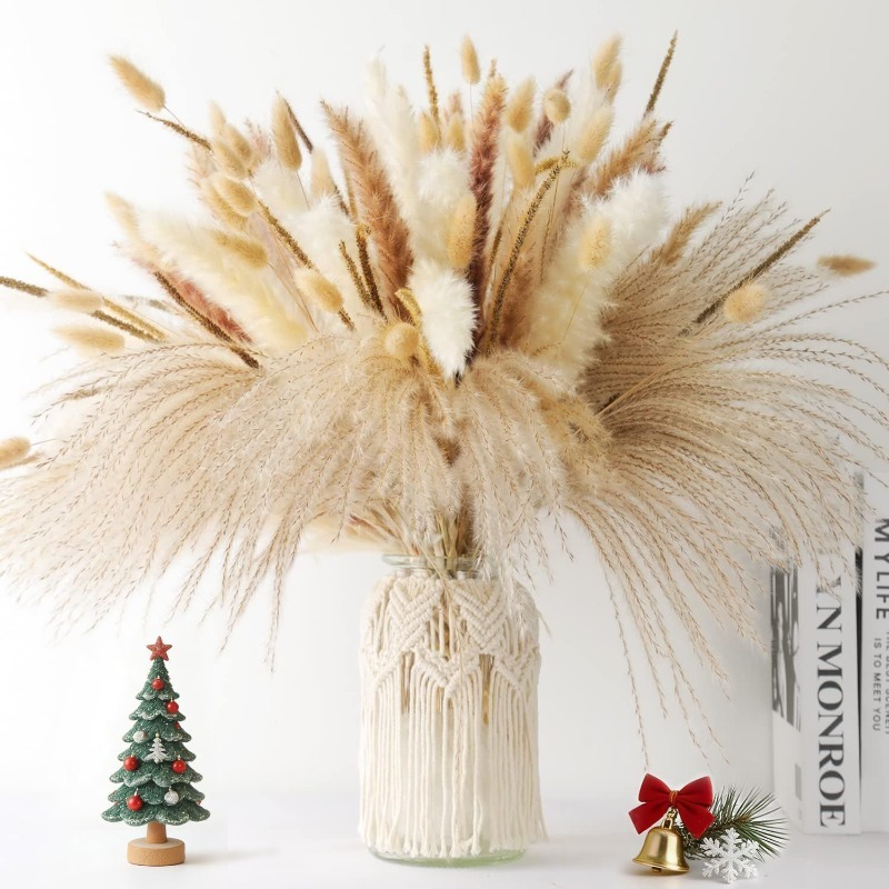 120 قطعة من باقة الأعشاب المجف - مراجعة Dried Pampas Bundle وسعره
