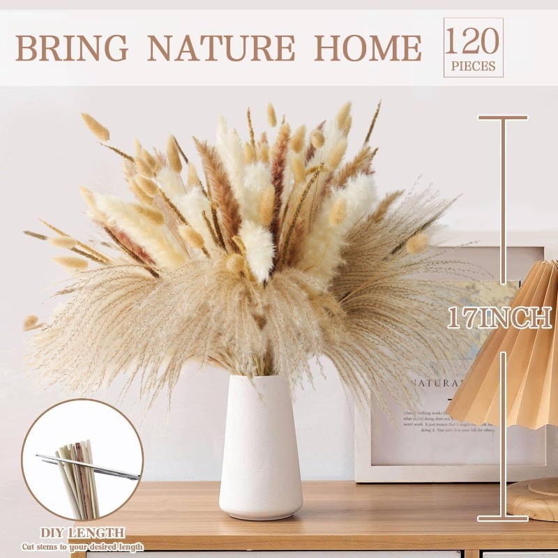 120 قطعة من باقة الأعشاب المجف - مراجعة Dried Pampas Bundle وسعره