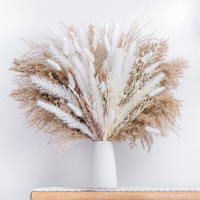 50-105 قطعة من باقة الزهور الم - مراجعة Dried Pampas Bundle وسعره