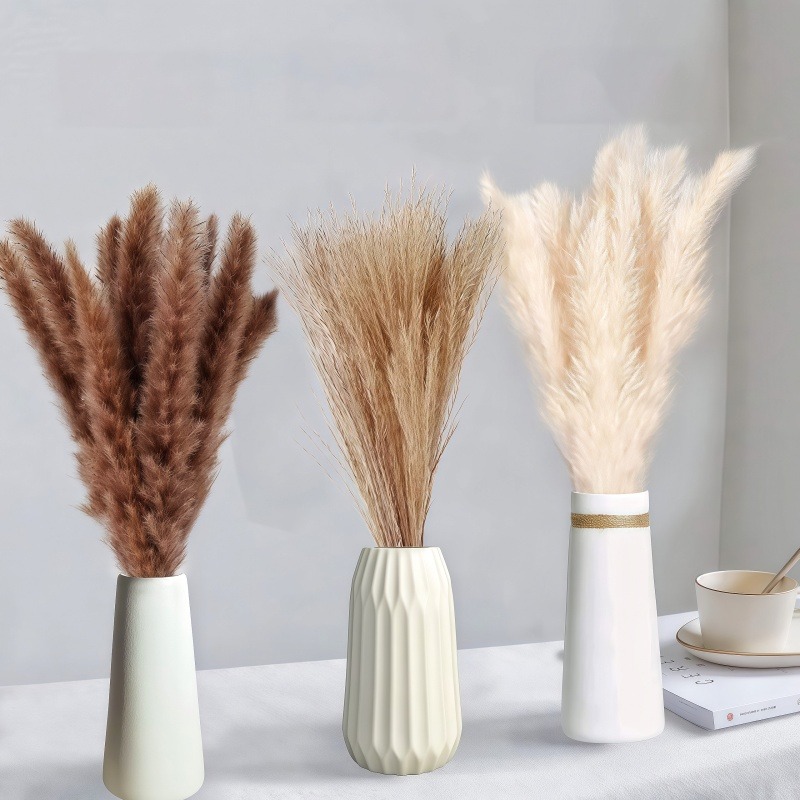 50-105 قطعة من باقة الزهور الم - مراجعة Dried Pampas Bundle وسعره