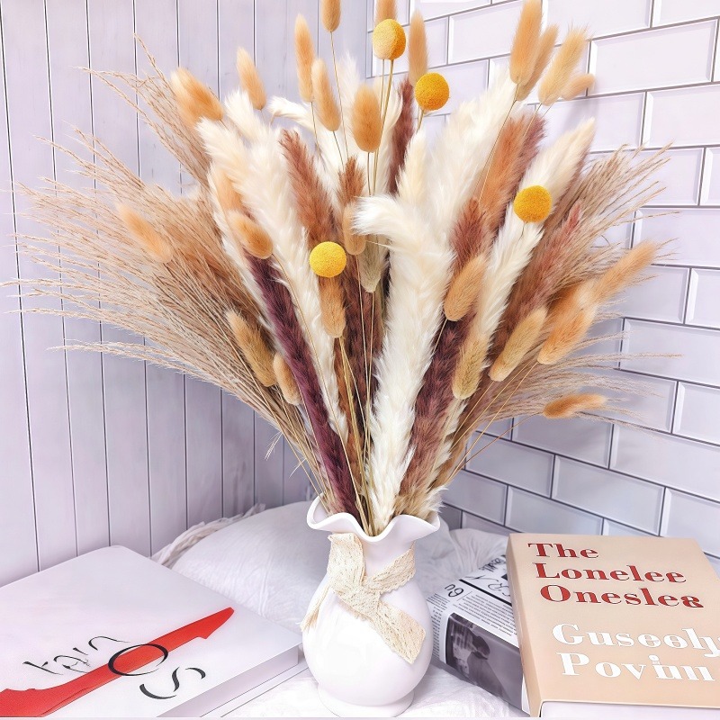 50-105 قطعة من باقة الزهور الم - مراجعة Dried Pampas Bundle وسعره