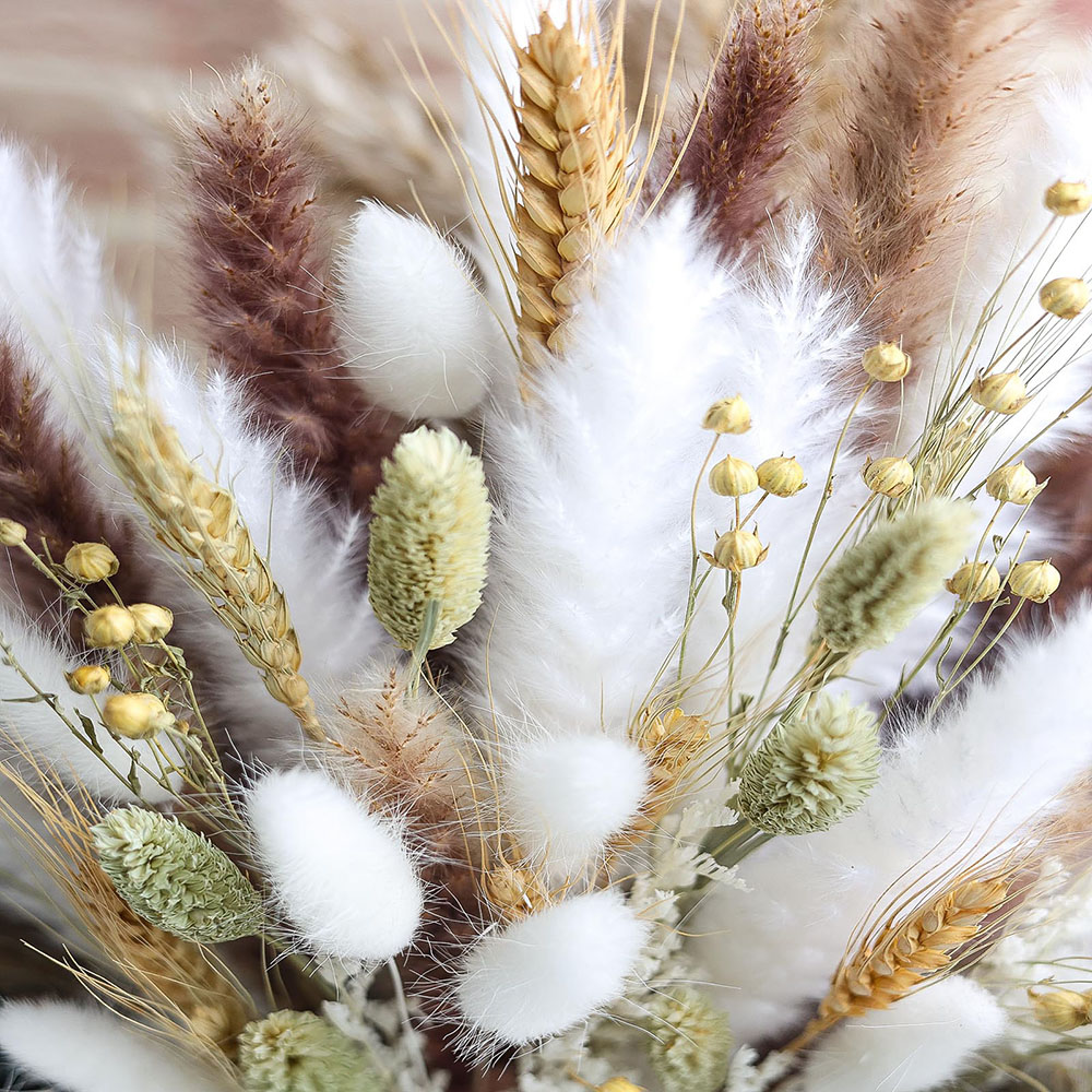 100 قطعة باقة عشب بامباس المجف - مراجعة Dried Pampas Bundle وسعره