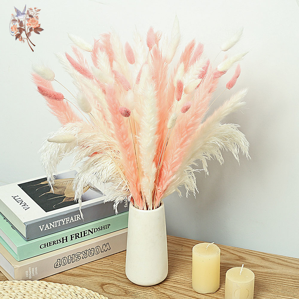 62 قطعة القصب الأبيض الوردي أر - مراجعة Dried Pampas Bundle وسعره