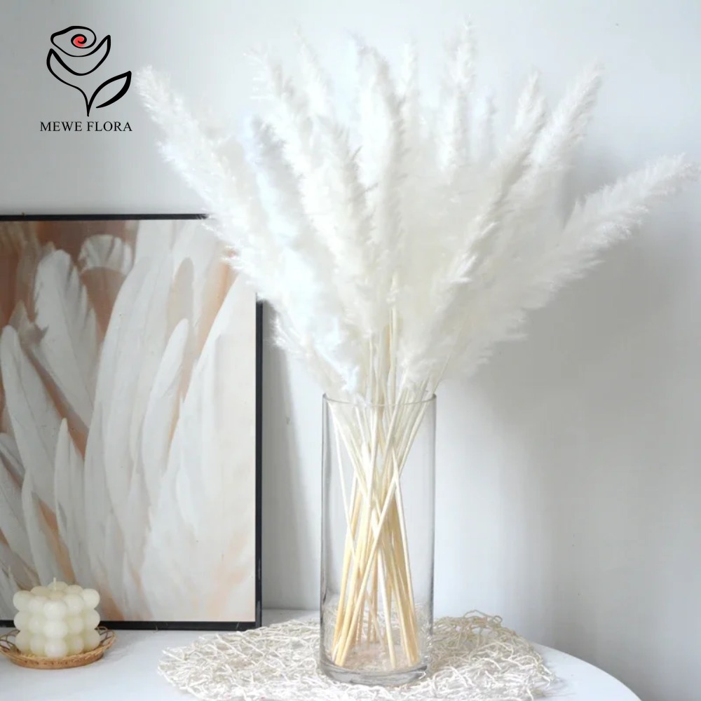 20 قطعة من أعواد عشب البامباس  - مراجعة Dried Pampas Bundle وسعره