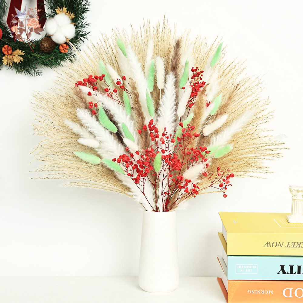 70 سيقان رقيق أخضر أحمر بامباس - مراجعة Dried Pampas Bundle وسعره
