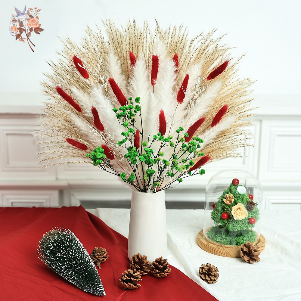 55 قطعة باقة الزهور المجففة زي - مراجعة Dried Pampas Bundle وسعره